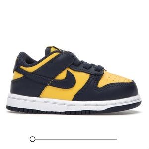 Michigan blue dunks. Kids